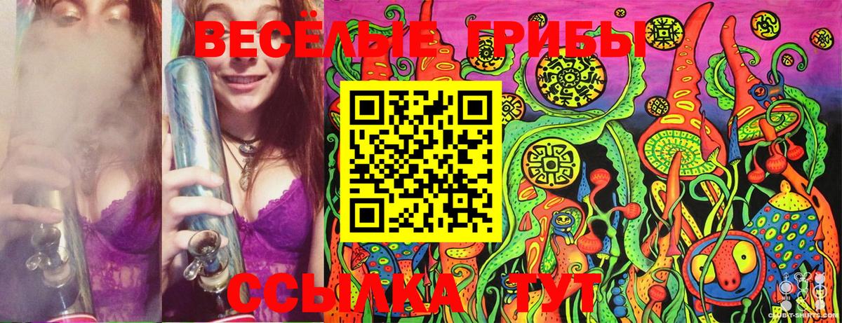 Галлюциногенные грибы MAGIC MUSHROOMS  Псилоцибиновые грибы Cubensis  Вход с VPN  Алексин 